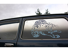 Арт-тонирование машин